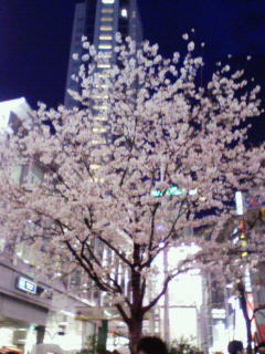 201004011834000.jpg