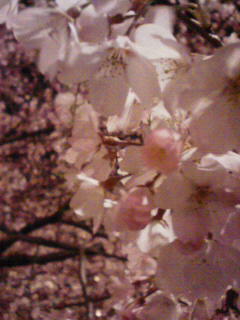 201003302009000.jpg