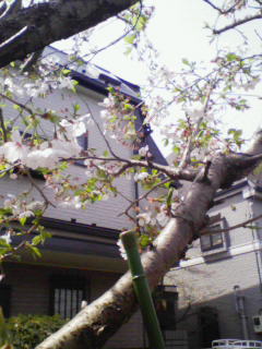 201004061035000.jpg