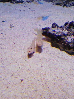 201003212025000.jpg