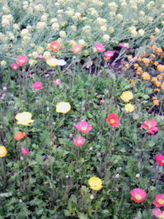 201003231136000.jpg