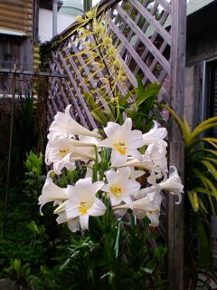 201004241558.jpg