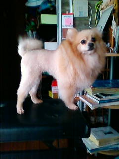 201004301742.jpg