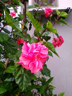 201004241600.jpg