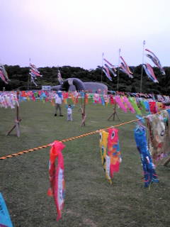 20100430125919.jpg