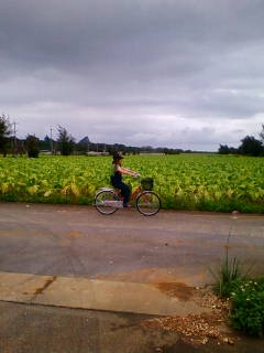 201006041214.jpg