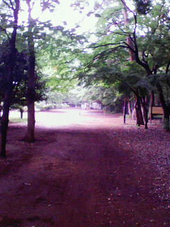 201006091323000.jpg