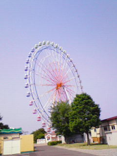 201006111452000.jpg