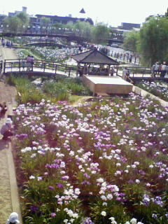 201006121515000.jpg