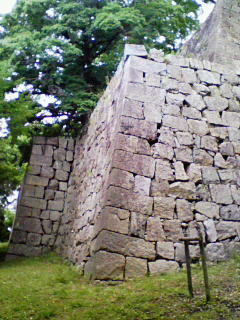 201006140833000.jpg