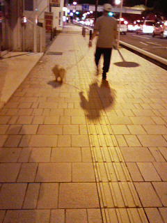 201006012255000.jpg