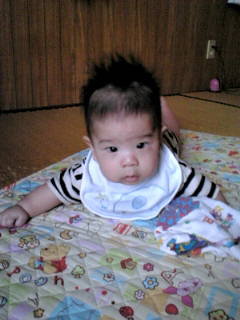 20100607132007.jpg
