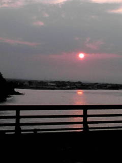 20100611182648.jpg