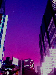 201007191914000.jpg