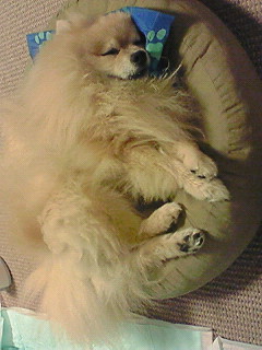 201007270025000.jpg