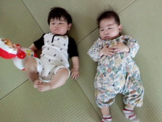 P2010_0430_141315.jpg
