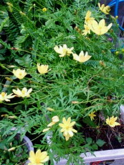 201009011443.jpg