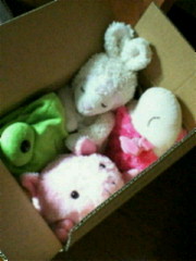 201102051006000.jpg