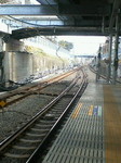 NEC_0518.jpg