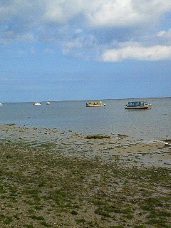 NEC_0630.jpg