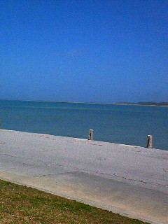 NEC_0678.jpg