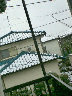 201103071442000.jpg
