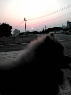 20110410183952.jpg