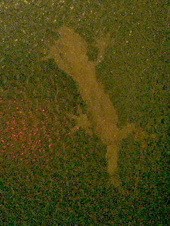 201104211916000.jpg