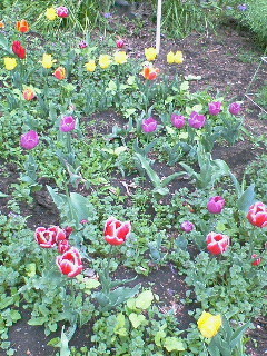 201104271240000.jpg