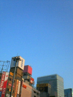 NEC_0192.jpg