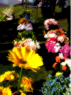image-20111010222415.png