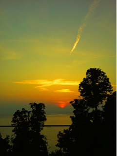 image-20111011000700.png