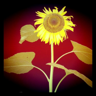 image-20111012003336.png