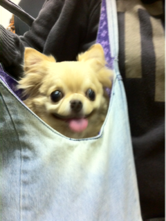 image-20111022115746.png