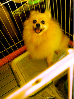 image-20111022120100.png