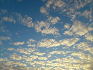 image-20111114165919.png