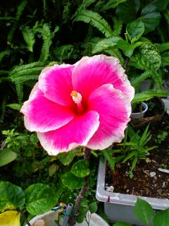 image-20111114170032.png