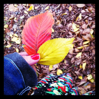 image-20111130092203.png