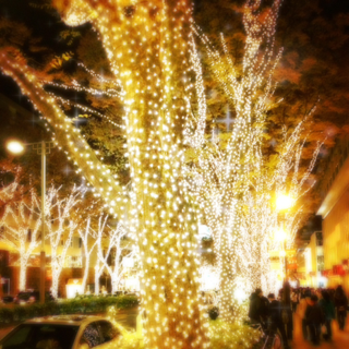 image-20111205165252.png