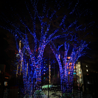 image-20111205165313.png