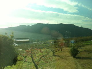 image-20111212202344.png