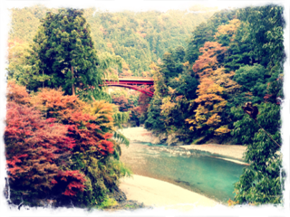 image-20111212204428.png