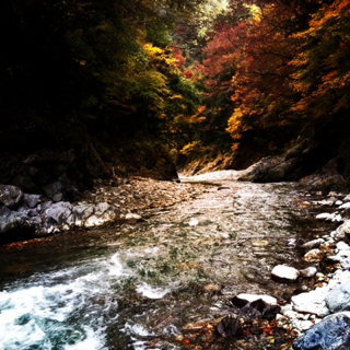 image-20111212204616.png