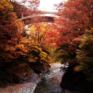 image-20111212204647.png