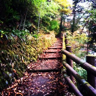 image-20111212205109.png