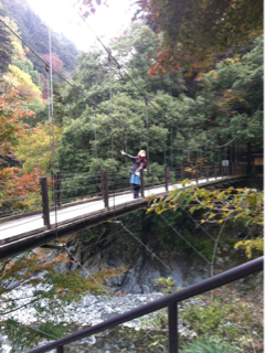 image-20111212205209.png