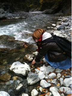 image-20111212205249.png