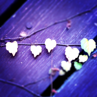 image-20111212205659.png
