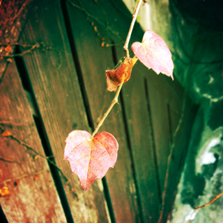 image-20111212205734.png