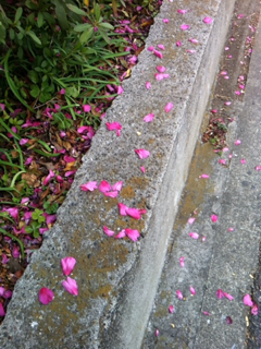 image-20120111232942.png